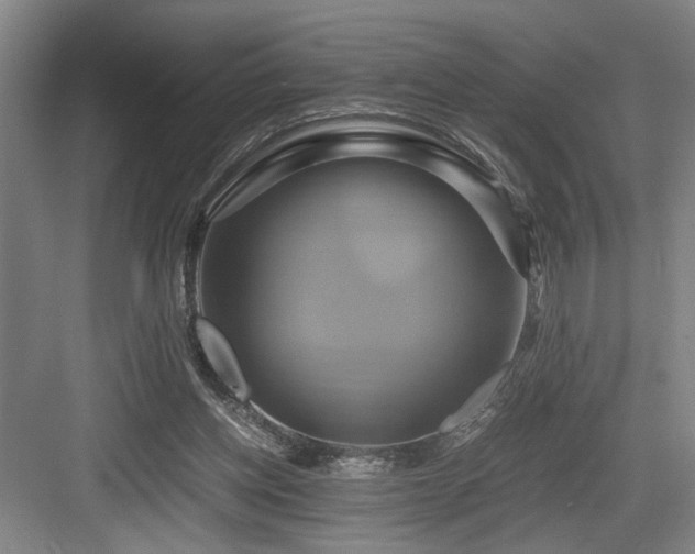 X0000084010158200702161211