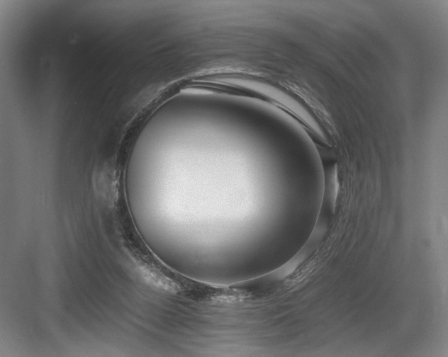 X0000084010160200702161211