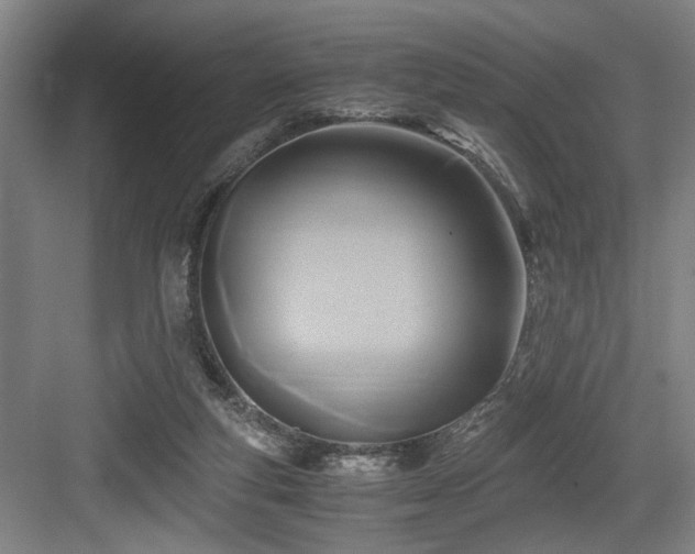 X0000084010163200702161211