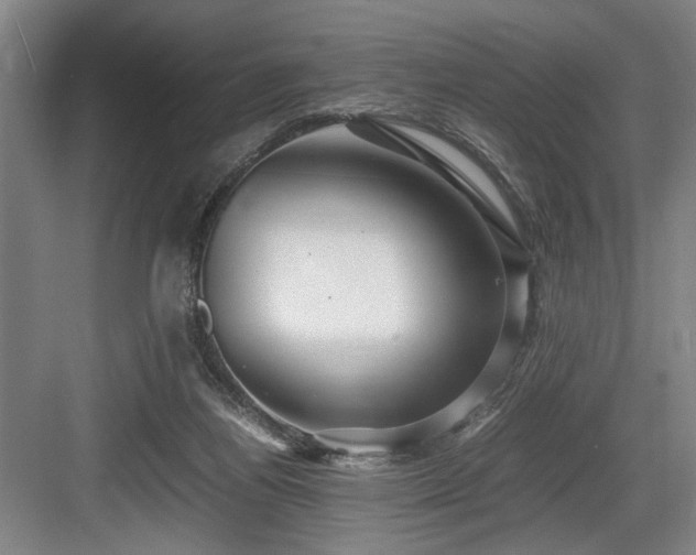 X0000084010164200702161211