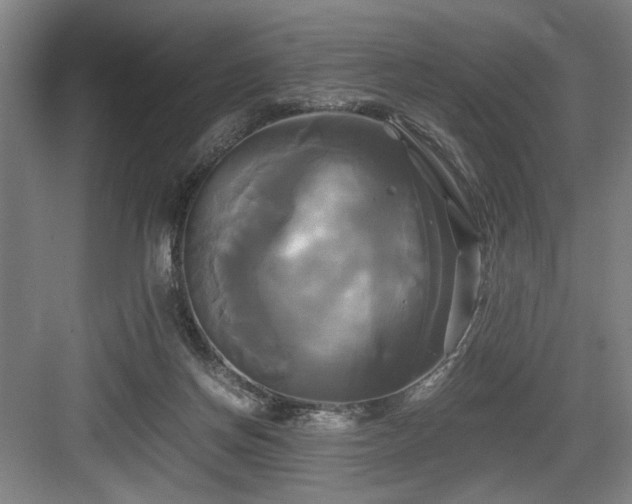 X0000084010166200702161211