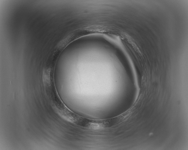 X0000084010167200702161211