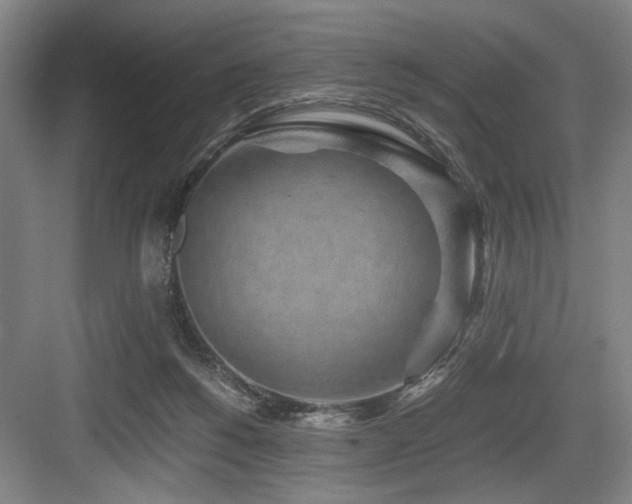 X0000084010168200702161211