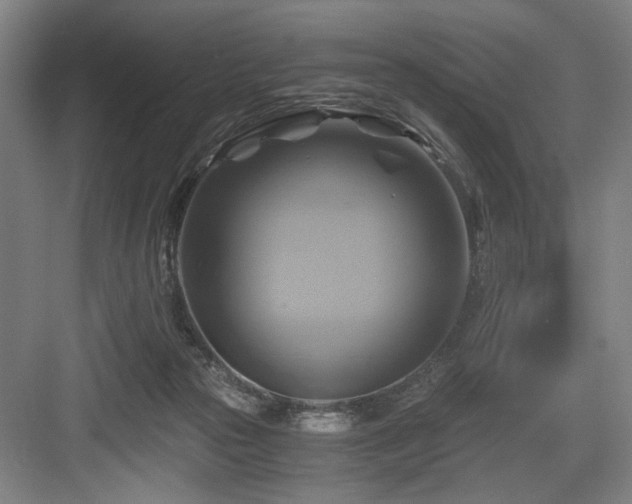 X0000084010169200702161211