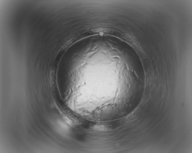 X0000084010171200702161211
