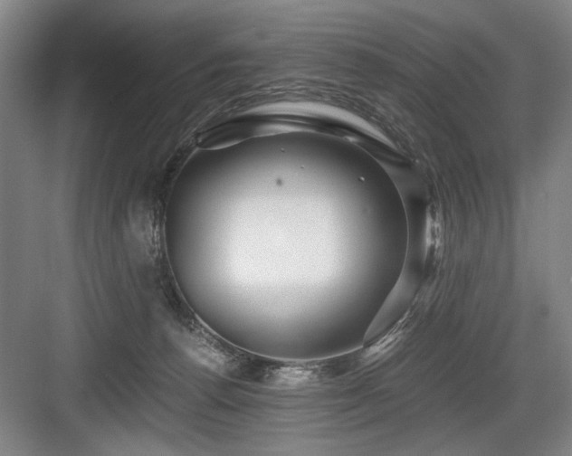 X0000084010176200702161211