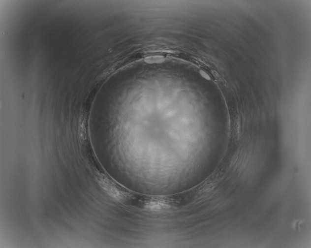 X0000084010177200702161211