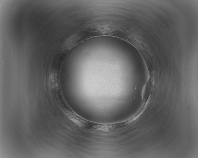 X0000084010182200702161211