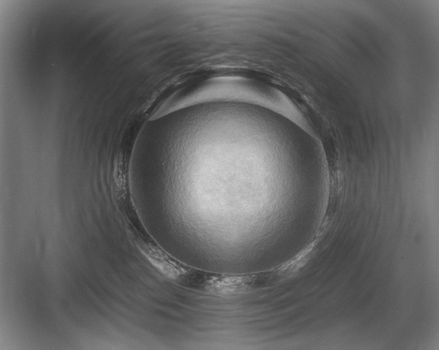 X0000084010186200702161211