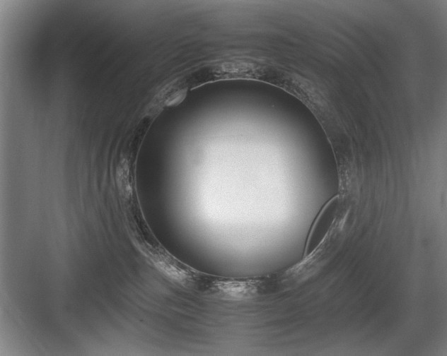 X0000084010187200702161211
