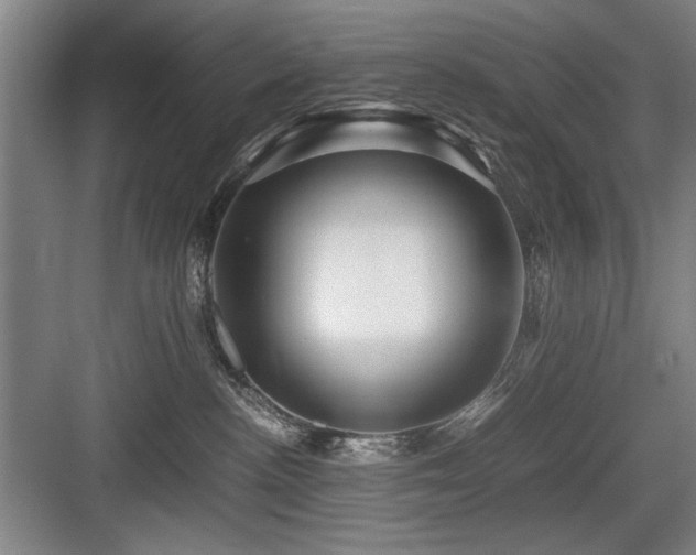X0000084010188200702161211