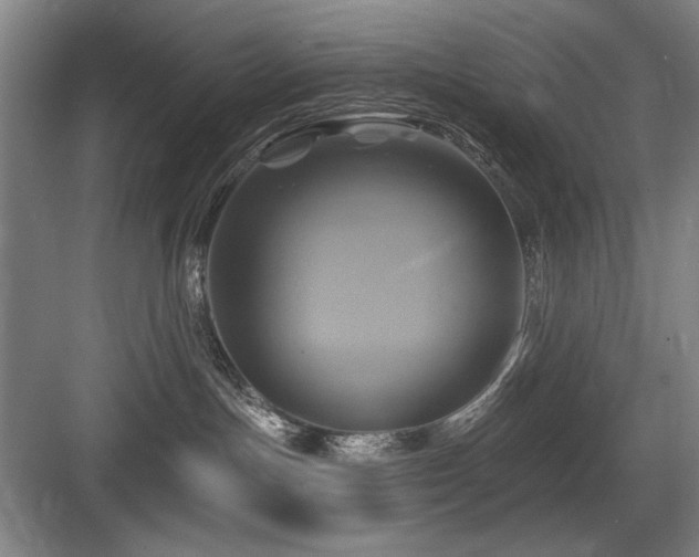X0000084010191200702161211