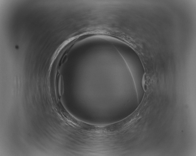 X0000084010200200702161210
