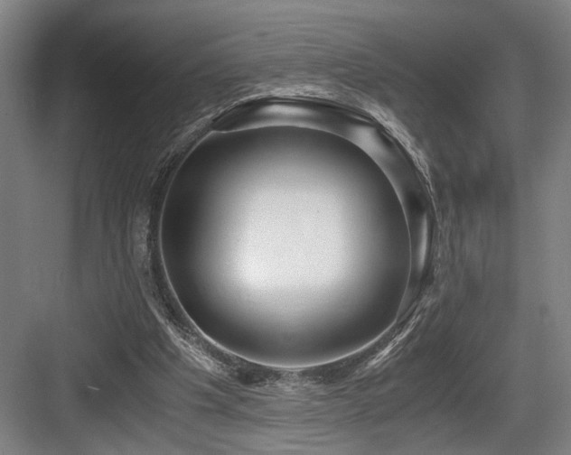 X0000084010201200702161210