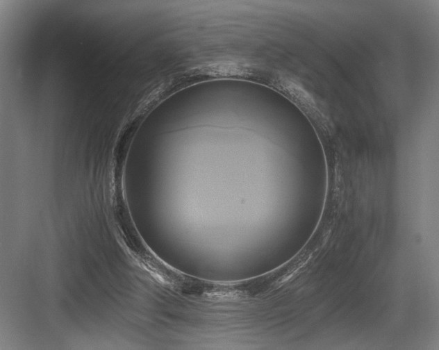 X0000084010202200702161210