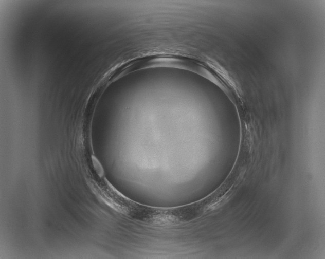 X0000084010203200702161210