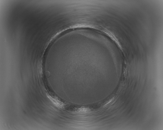 X0000084010204200702161210