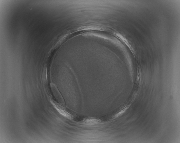 X0000084010205200702161210