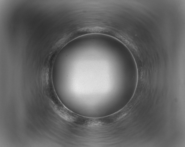 X0000084010206200702161210