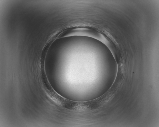 X0000084010207200702161210