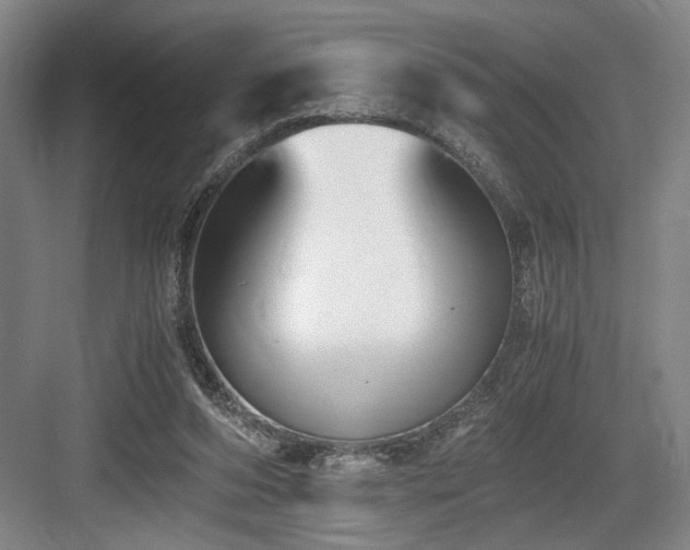 X0000084010208200702161210