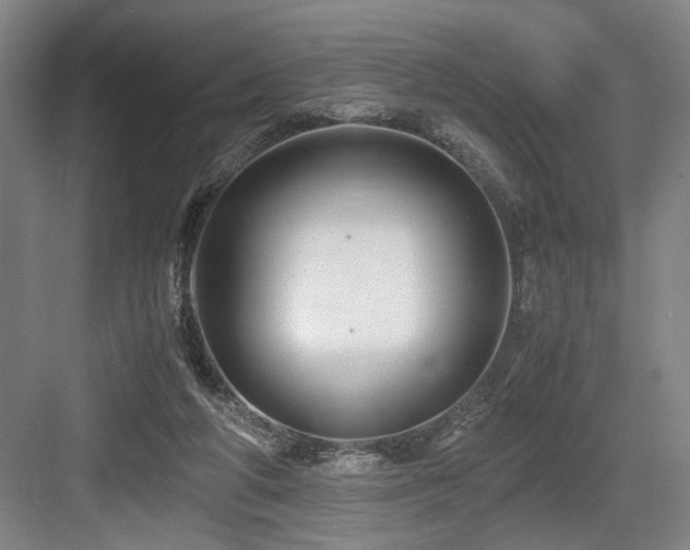 X0000084010210200702161210