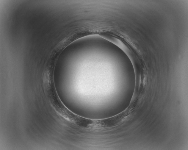 X0000084010211200702161210