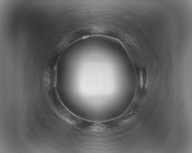 X0000084010215200702161210