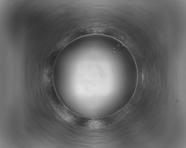 X0000084010218200702161210