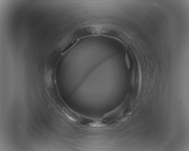 X0000084010219200702161210