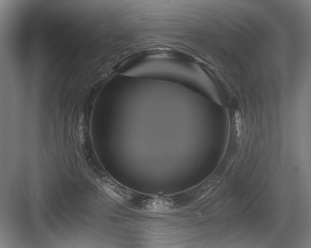 X0000084010223200702161210
