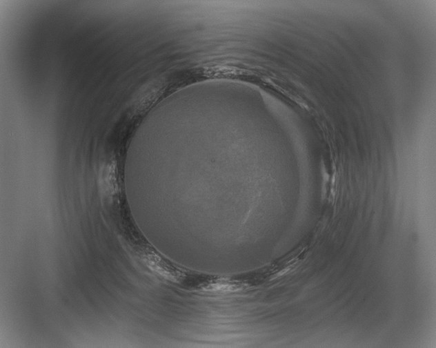 X0000084010224200702161210