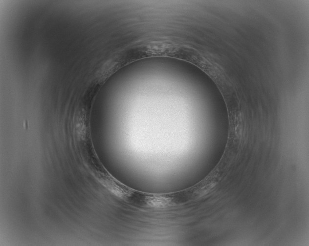 X0000084010226200702161210