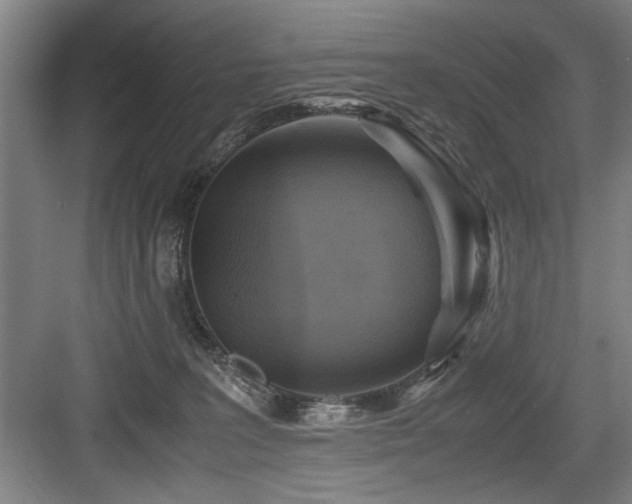 X0000084010227200702161210