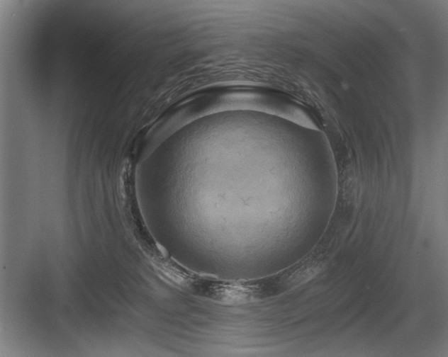 X0000084010229200702161210
