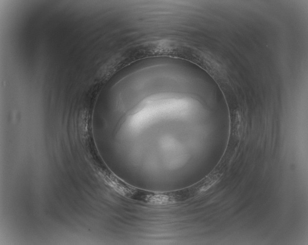 X0000084010230200702161210