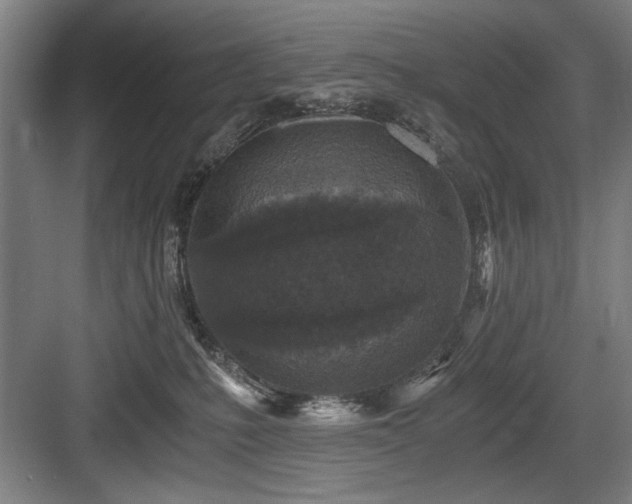 X0000084010231200702161210