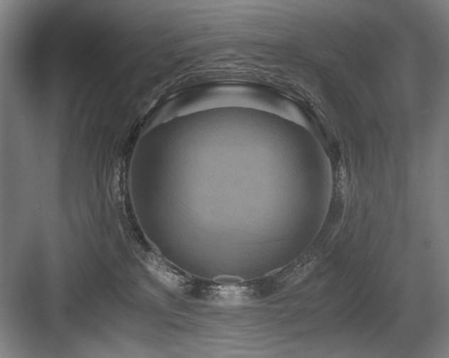 X0000084010233200702161210