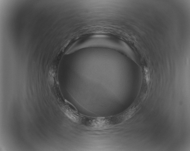 X0000084010235200702161210