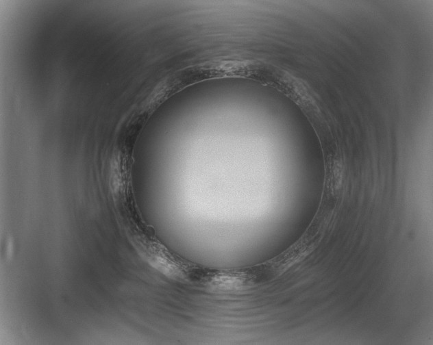 X0000084010236200702161210