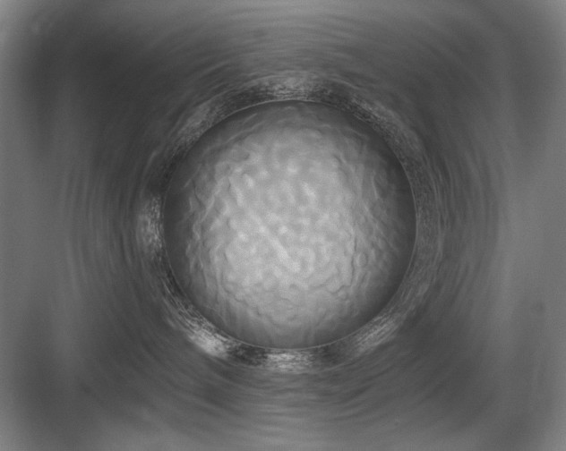 X0000084010240200702161210