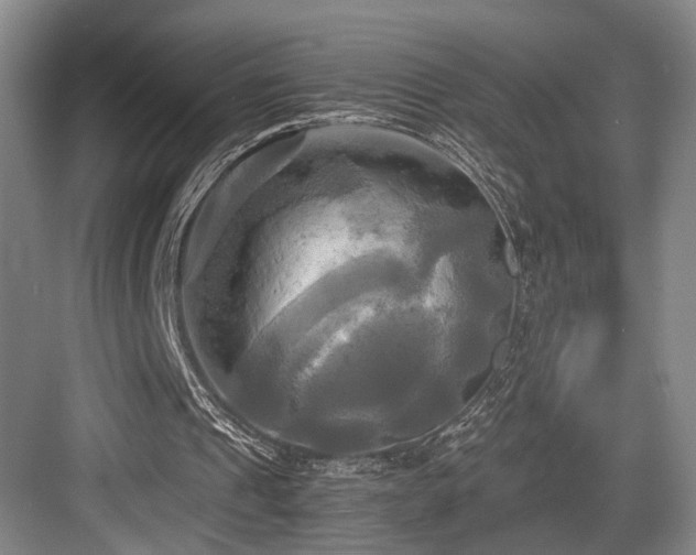 X0000084010241200702161209