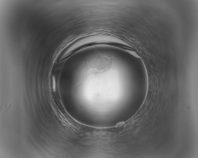 X0000084010242200702161209