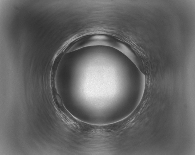 X0000084010244200702161209