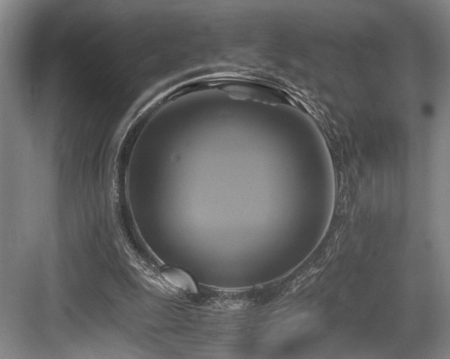 X0000084010247200702161209