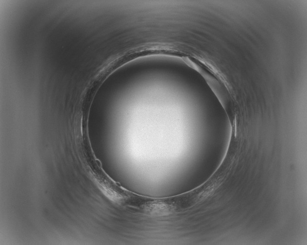 X0000084010253200702161209