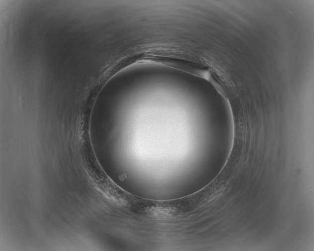 X0000084010255200702161209