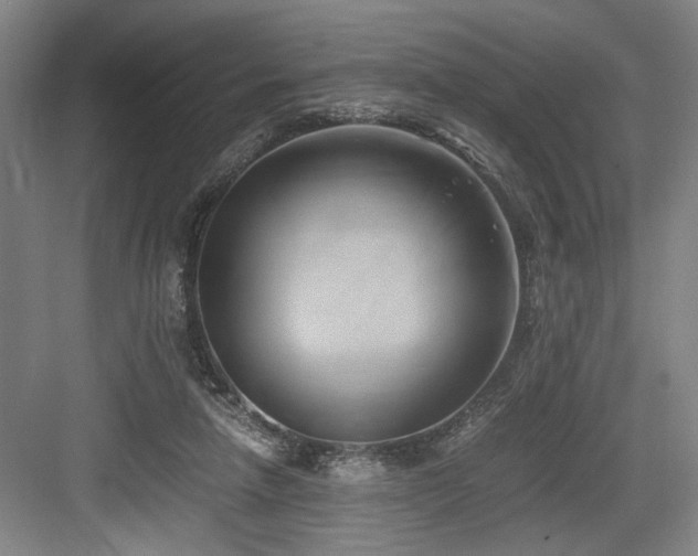 X0000084010258200702161209