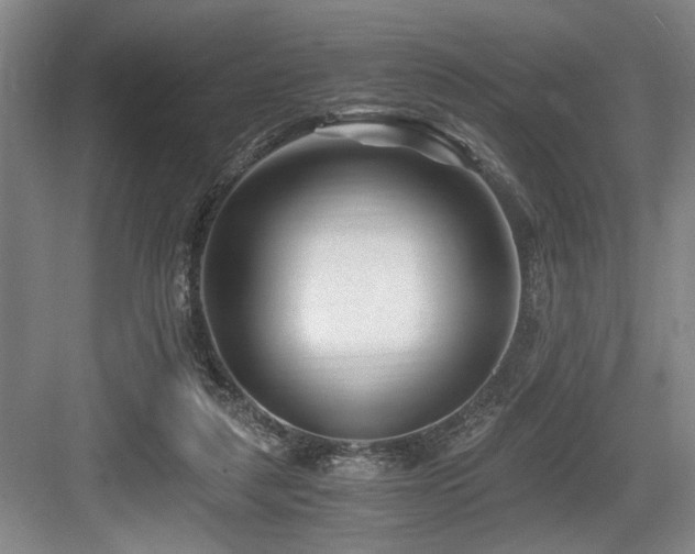 X0000084010259200702161209