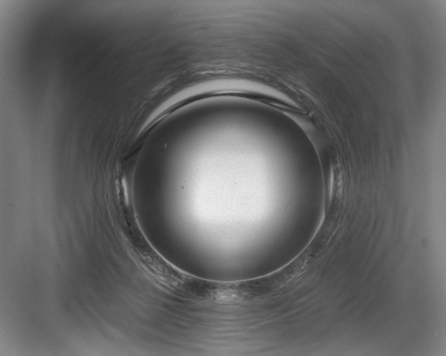 X0000084010264200702161209